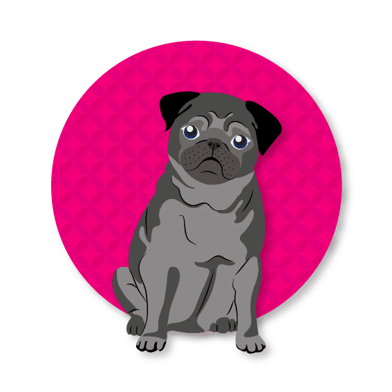 Standart-Pages-SadPug